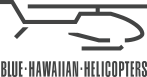 Blue Hawaiian Logo